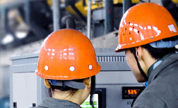 成人向日葵视频維護要點解析